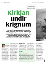 Síða 6