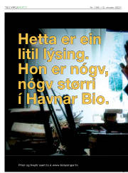 Síða 12