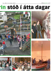 Síða 17
