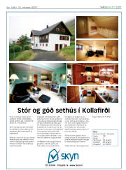 Síða 21