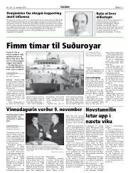 Síða 11
