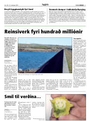 Síða 13