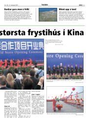 Síða 15