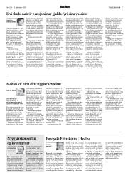 Síða 17