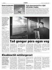 Síða 8