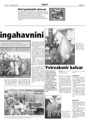 Síða 11