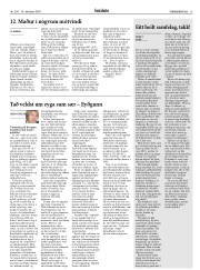 Síða 13