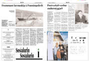 Síða 2