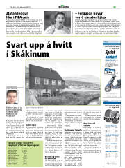 Síða 29