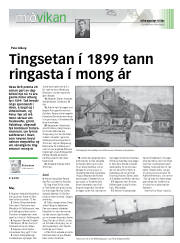Síða 17
