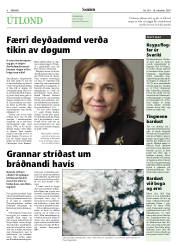 Síða 8