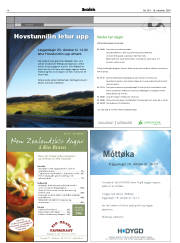 Síða 14