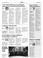 Síða 13