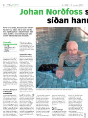 Síða 6