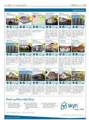 Síða 19