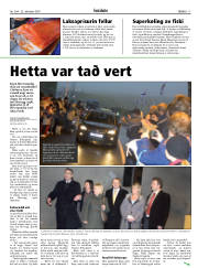 Síða 17
