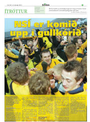 Síða 19