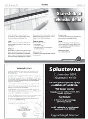 Síða 29