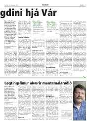 Síða 17