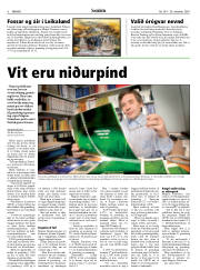 Síða 6