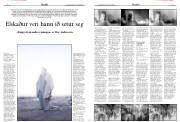 Síða 13