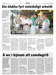 Síða 8