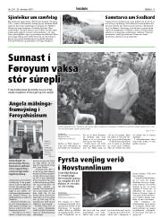 Síða 11