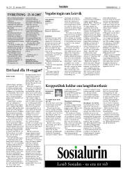 Síða 13