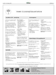 Síða 21
