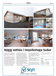 Síða 29
