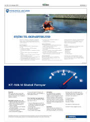 Síða 31