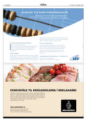 Síða 32