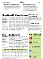 Síða 37