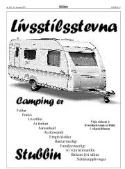 Síða 43