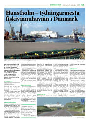 Síða 31