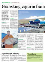 Síða 32