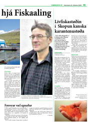 Síða 33