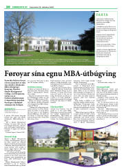 Síða 38
