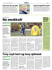 Síða 43