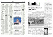 Síða 11