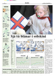 Síða 17