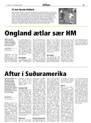 Síða 29