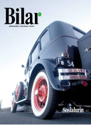 Síða 1