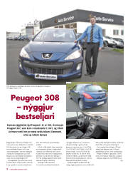 Síða 1