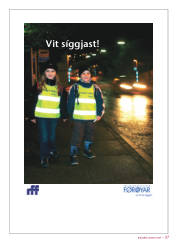Síða 1
