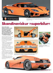 Síða 1