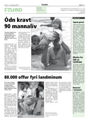 Síða 31