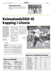 Síða 19