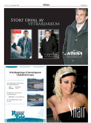 Síða 31