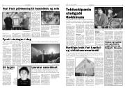 Síða 5